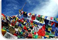 Prayer Flag, Ladakh