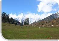 Solan Valley, Himachal Pradesh