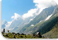 Gulmarg Tour, Jammu And Kashmir