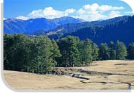 Patnitop Tour, Jammu and Kashmir