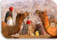 Rajasthan Fairs and Festival