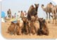Pushkar