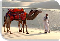 Rajasthan Desert