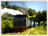 Train at Ooty